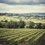 Altarocca Wine Adults Only Hotel 3*