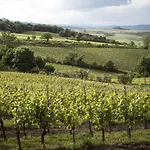 Altarocca Wine Adults Only ホテル 3*