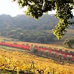 Altarocca Wine Adults Only オルヴィエート