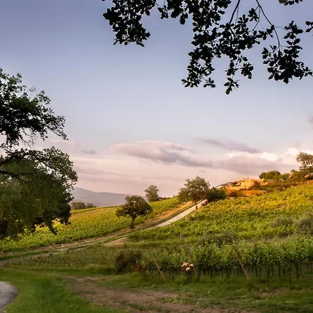 Altarocca Wine Adults Only Hotel Orvieto