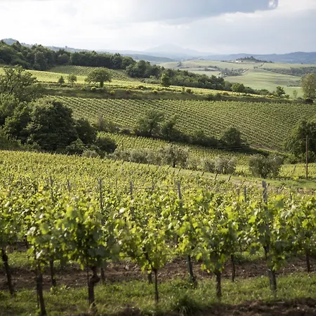 Altarocca Wine Adults Only Hotell 3*