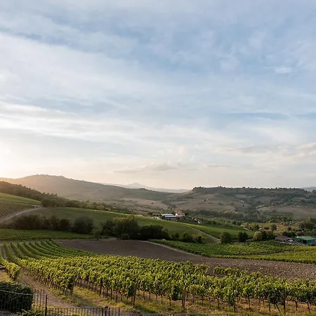 Hotel Altarocca Wine 3*