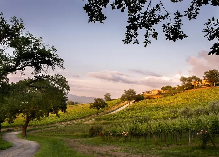 Altarocca Wine Adults Only Hotel Orvieto