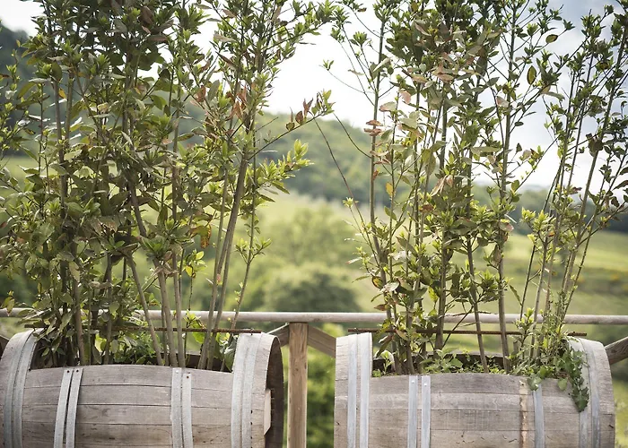 Altarocca Wine Adults Only Hotel 3*