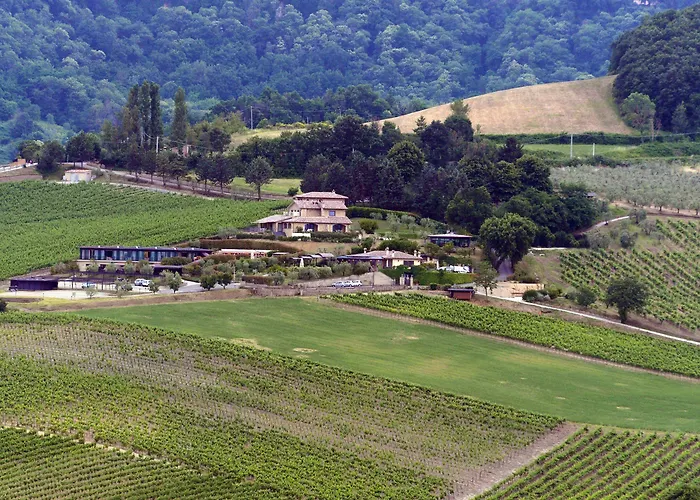 Altarocca Wine Adults Only 3* Orvieto