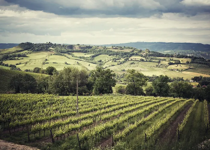 Altarocca Wine Adults Only Hotel 3*